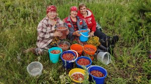 Настроение отличное // ягодные поляны 🍓🍓🍓// испугались 🤷🐝🐝🐝//