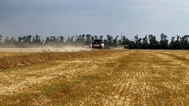 26-06-2025 г. В районе дан старт уборке ячменя смотреть онлайн