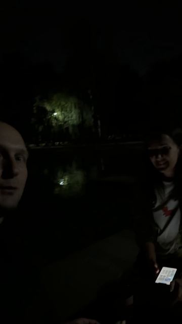 Хроники вечера 24 дня