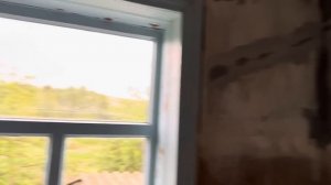 Переехала в деревню, сажаю томаты, преследую сусликов))