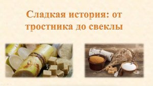 Интересный факт: «История появления сахара»