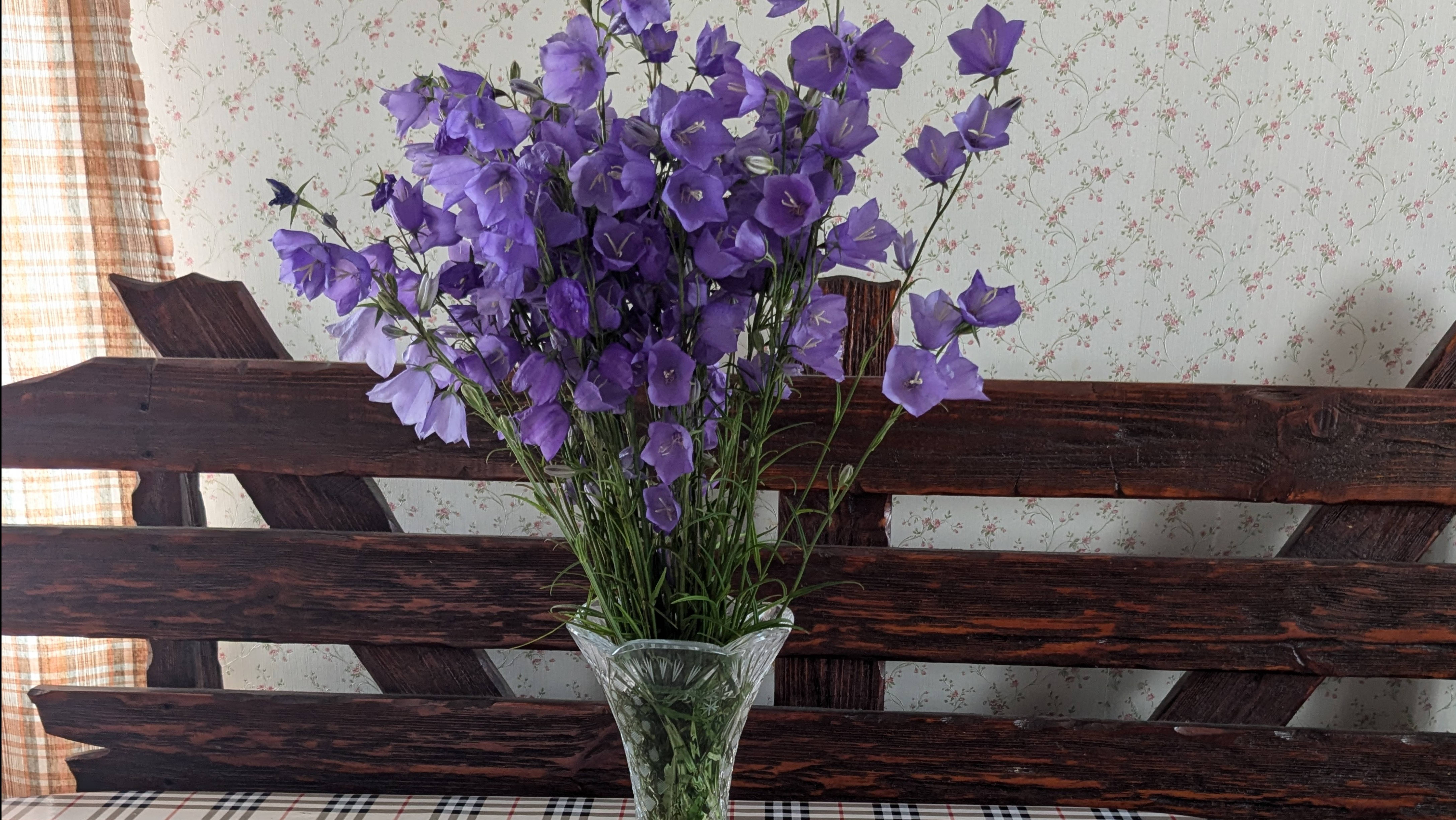 Сушим зеленый лук, шьем чехол на сидение в лодку.26 июня. смотреть онлайн