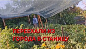 564 🏠 Переехали из города в станицу. Трудности и беды Жизни  на Кубани.