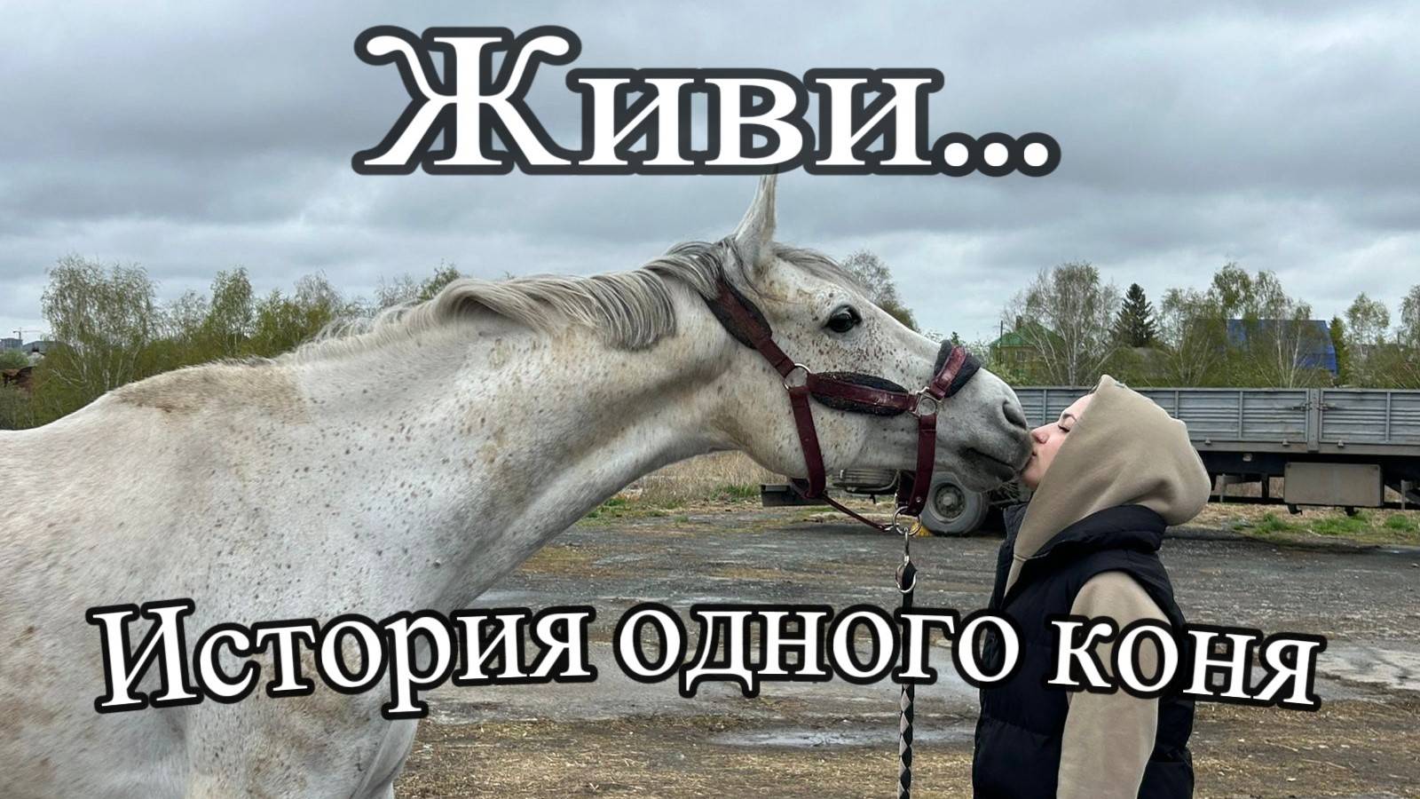 Подарили жизнь Коню! смотреть онлайн