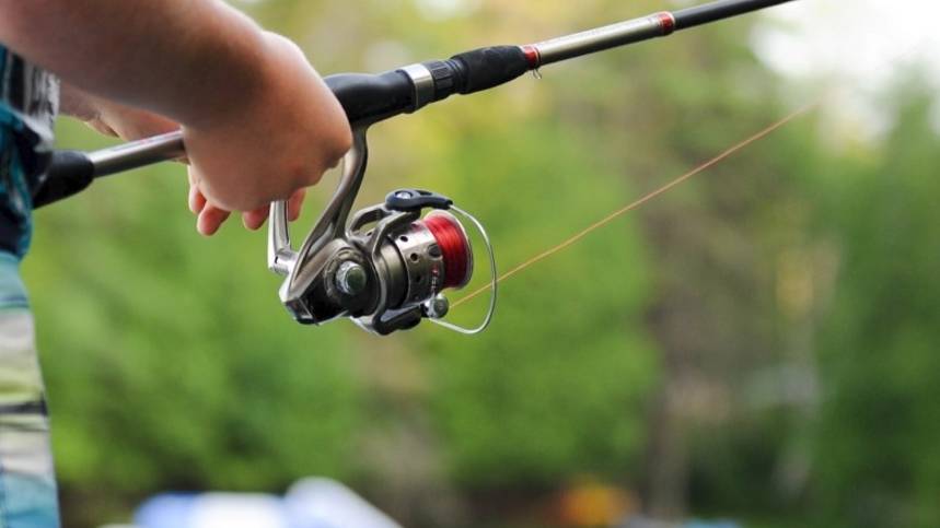 День рыбалки. Утро Губернии