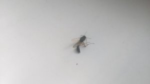 VID_20250626_174046.mp4