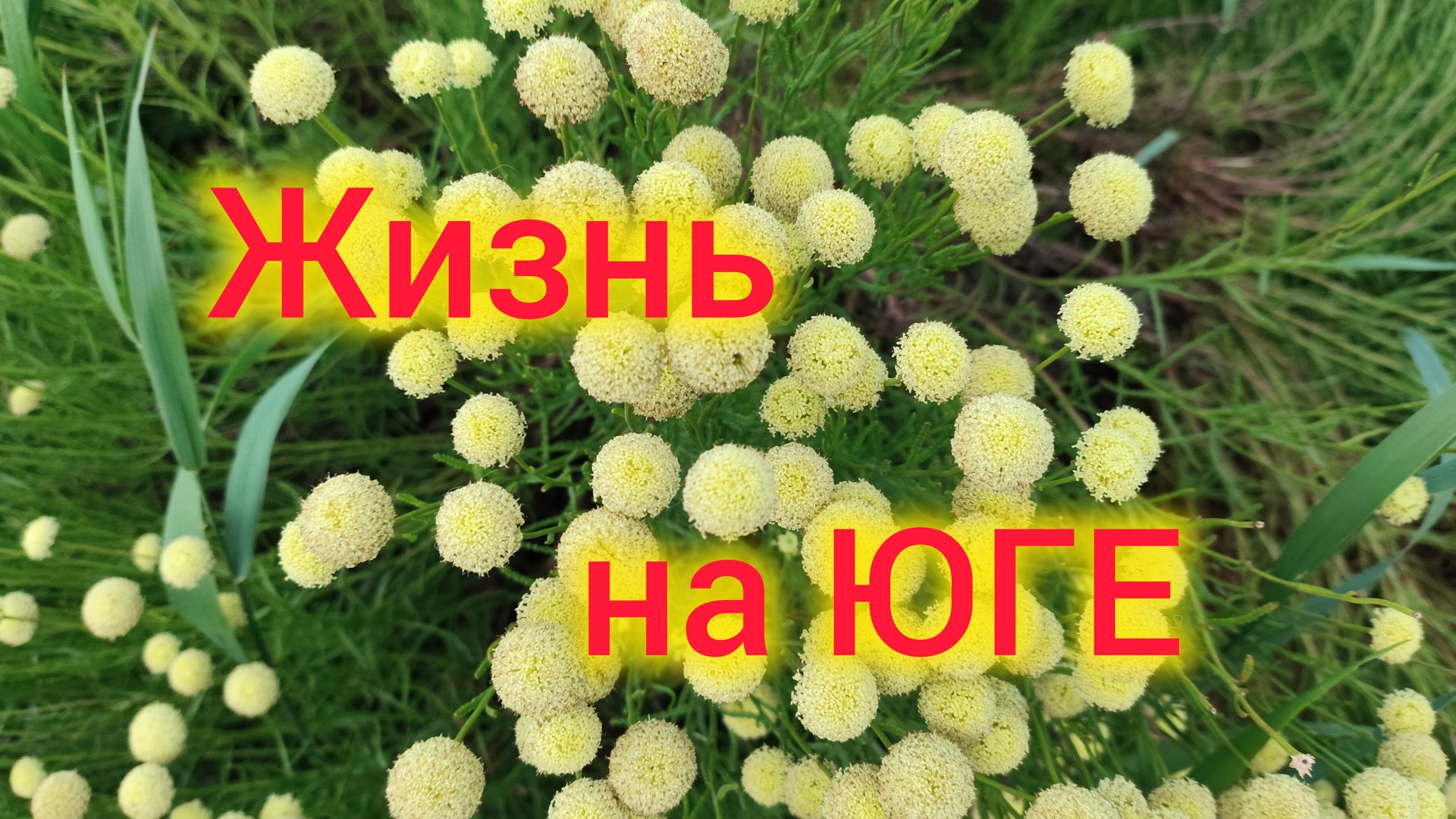 Жизнь после переезда на ЮГ/Надо бы еще НАВОЗА/Пожелала хейтерам смерти 😱/Почему не говорю про сына❤ смотреть онлайн