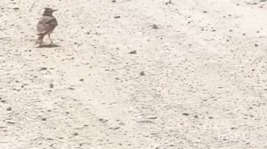 Избербаш, Дагестан. Горячий сероводородный источник - пешая дорога и процедуры