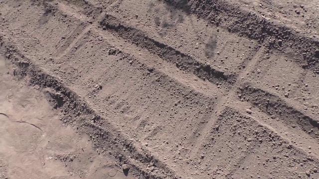 О посеве брюквы