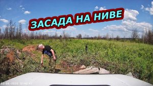 ЭКСПЕДИЦИЯ НА НИВЕ. ЗАСАДА У СГОРЕВШЕЙ ДЕРЕВНИ