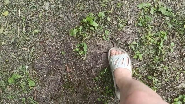 25,26 июня 2025г. Побег из курятника. Собрала и установила смотреть онлайн