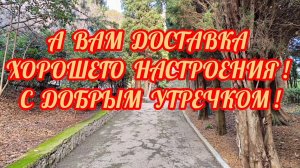 ДОСТАВКА ХОРОШЕГО НАСТРОЕНИЯ! 
С ДОБРЫМ УТРОМ!