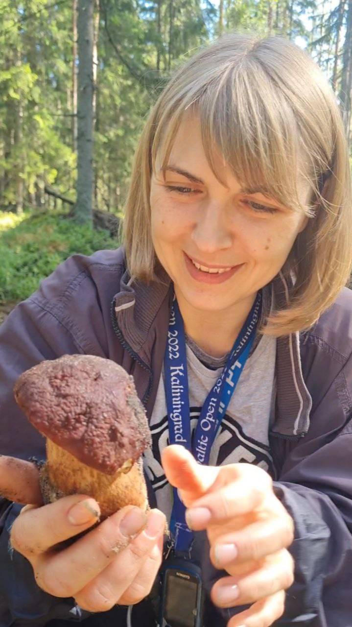 грибное утро! ПОХОД В ЛЕС ЗА ГРИБАМИ на старое грибное место. БЕЛЫЕ ГРИБЫ. смотреть онлайн