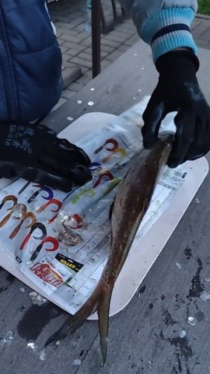 Вот чем надо чистить рыбу🙂