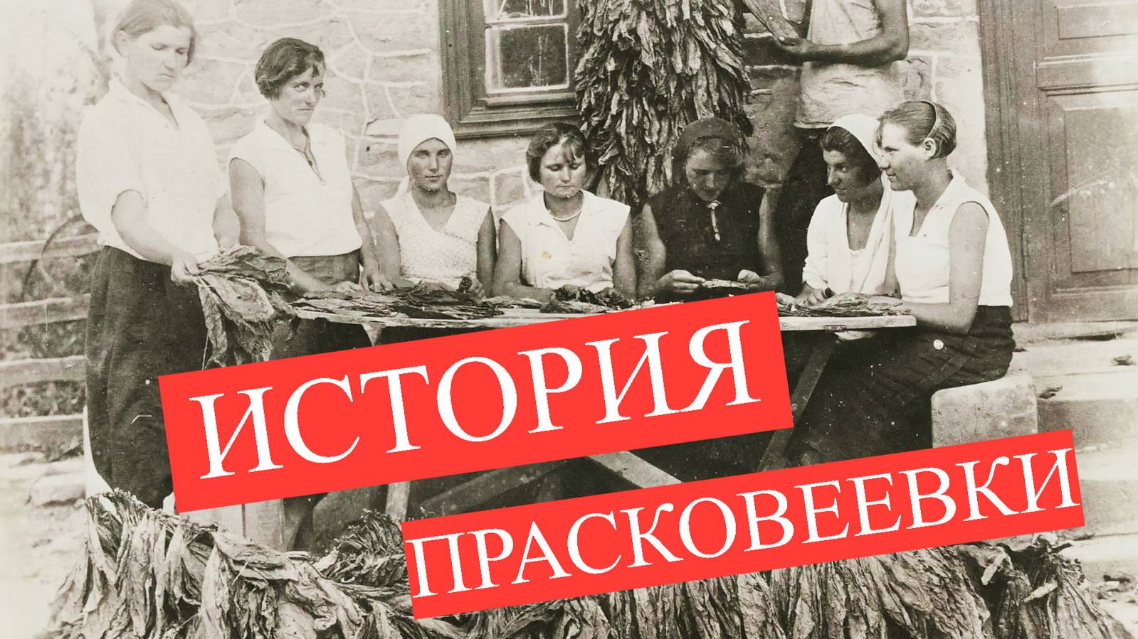 ✅ Интервью: История Прасковеевки, о виноделии, жителях, хуторах смотреть онлайн