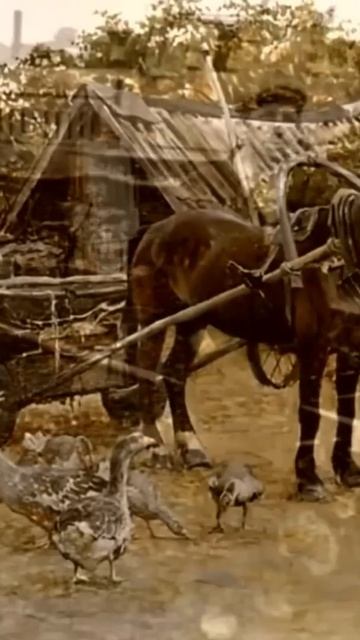 Воспоминания плетут желания, музыка возрождает. смотреть онлайн