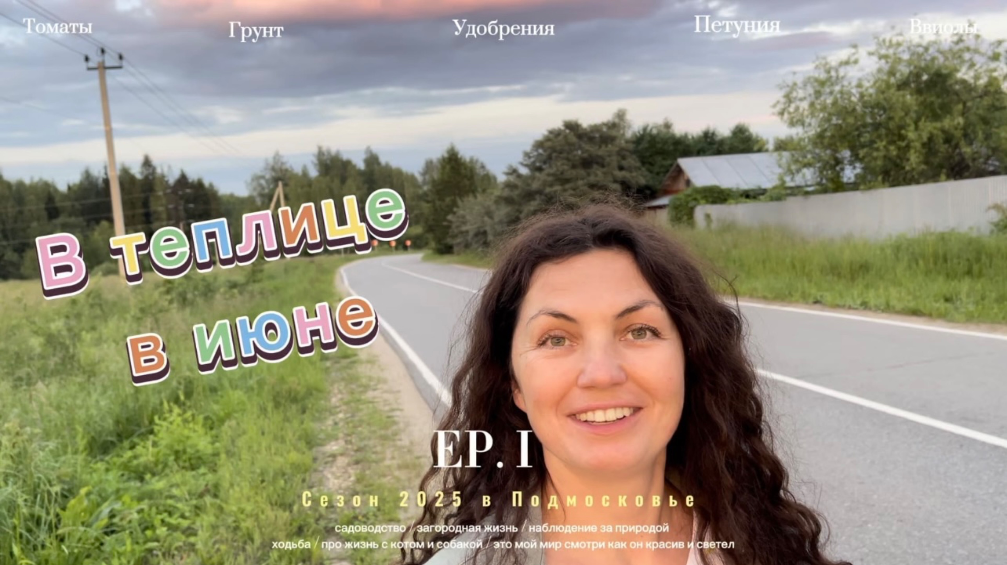 В теплице в июне. Томаты. Верхушки пожелтели. Чем удобряю.