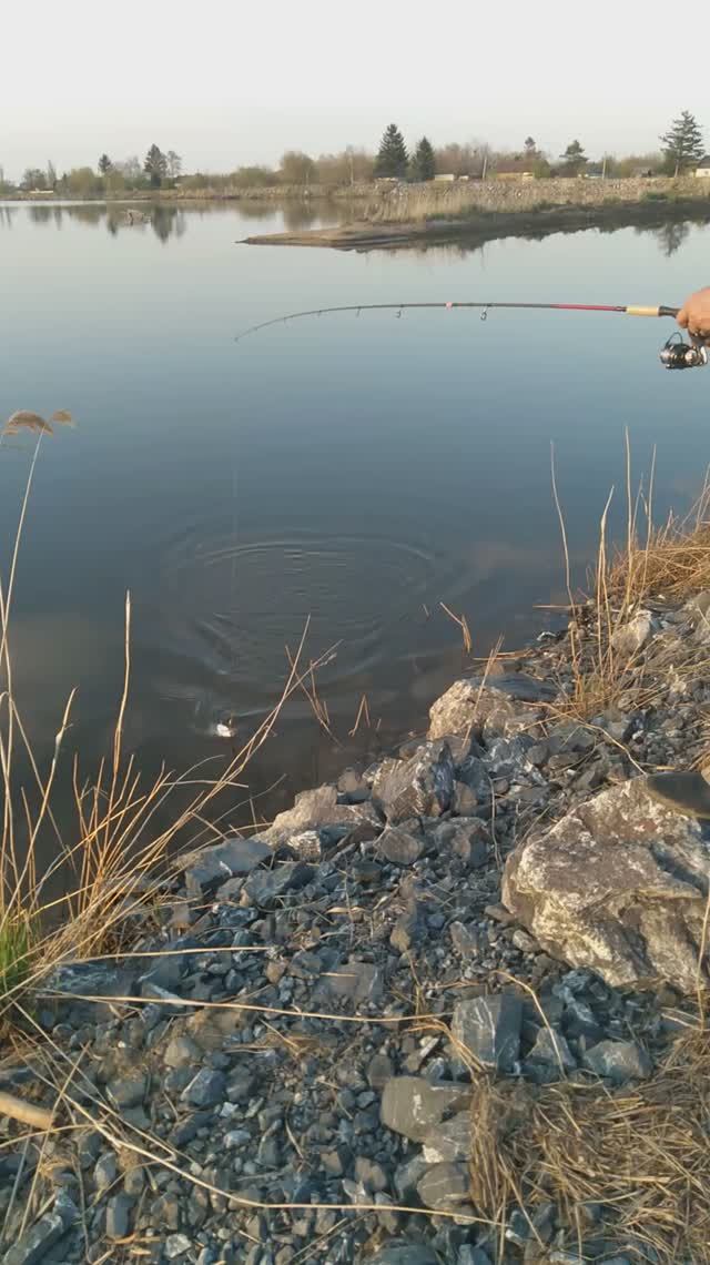 РЫБАЛКА МАЙ.