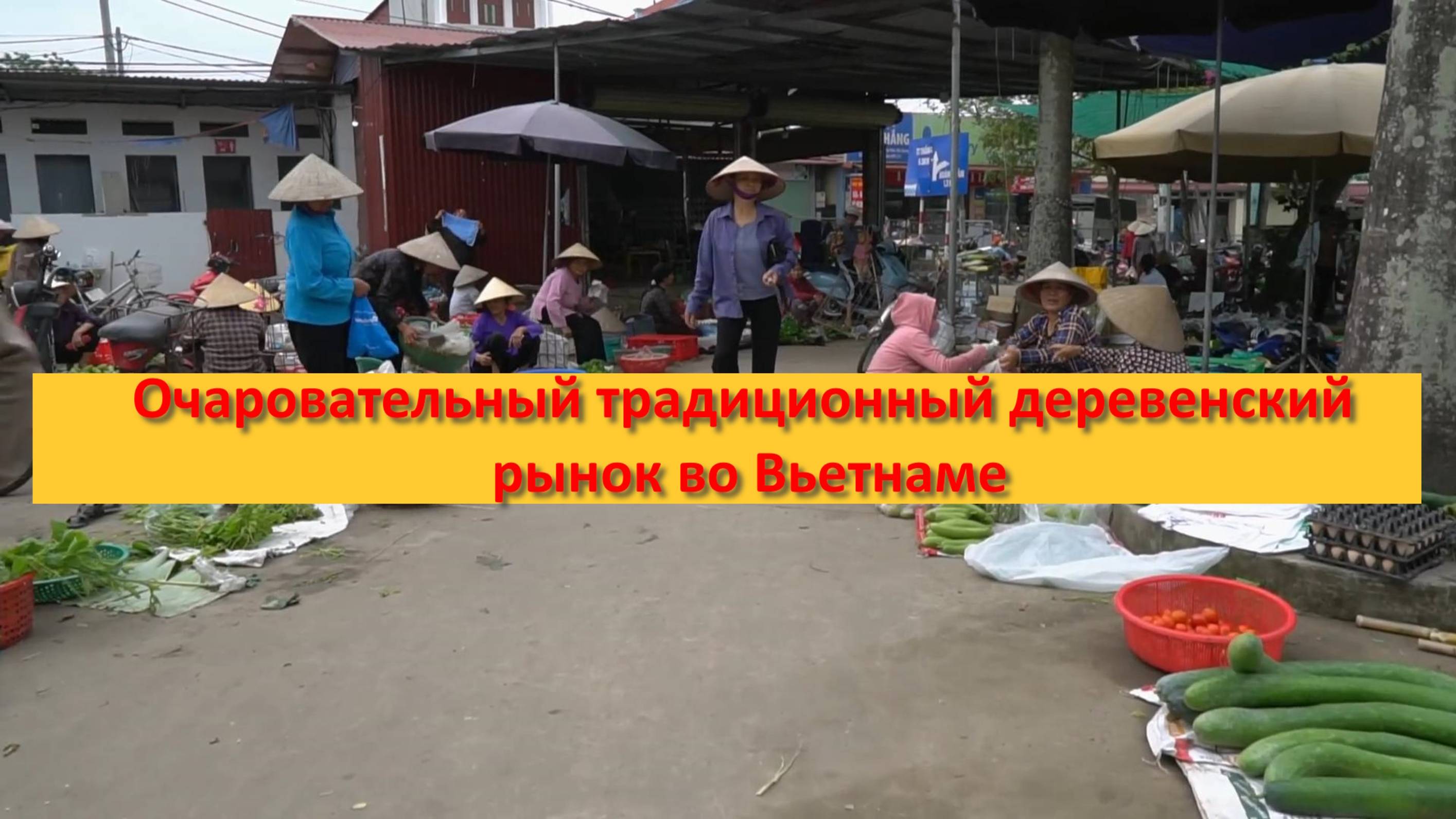 Очаровательный традиционный деревенский рынок во Вьетнаме смотреть онлайн