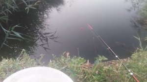 Охота и рыбалка  - не клюёт