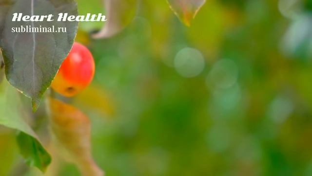 Здоровое Сердце. Исцеление сердца и сердечно-сосудистой системы. (Ремейк) Скрытые аффирмации