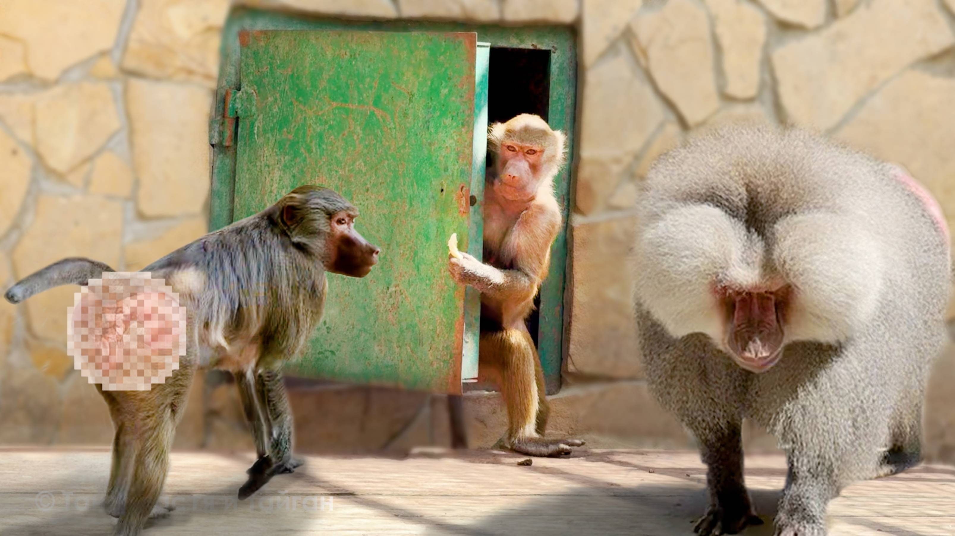 Люся ведет себя тише воды, ниже травы! Полное подчинение и уважение! Наблюдаем за семейным ТРИО! смотреть онлайн