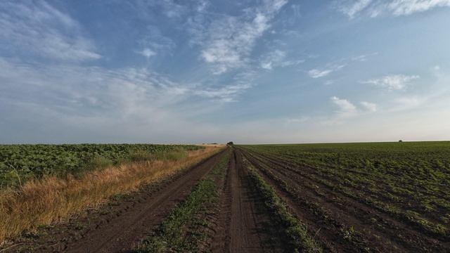 Путешествие к морю (1 серия).