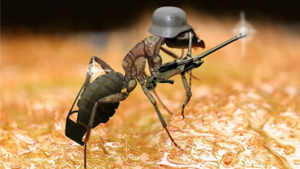 ANT War...муравейная война