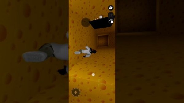 SVID_20250623_212518_1.mp4