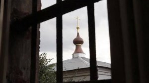 Михаил Сурский - Зона суженая