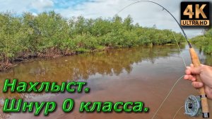 Тест шнура 0 класса.