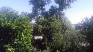 VID_20250627_090850.mp4