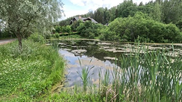 Плес | плес2025 | поездка по россии | куда поехать на выходные смотреть онлайн