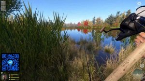 СОЛНЕЧНИК КРАСНОУХИЙ ТРОФ - ЛОСИНОЕ ⭐ РУССКАЯ РЫБАЛКА 4 |  RUSSIAN FISHING 4@Z-B-G