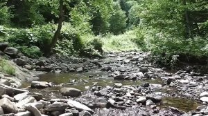 "'@" Keiko Matsui. Mystic Dance. Играет Тадеуш Конопко (аккордеон).