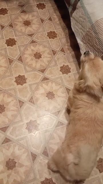 Как я снимаю смешные моменты👍😂