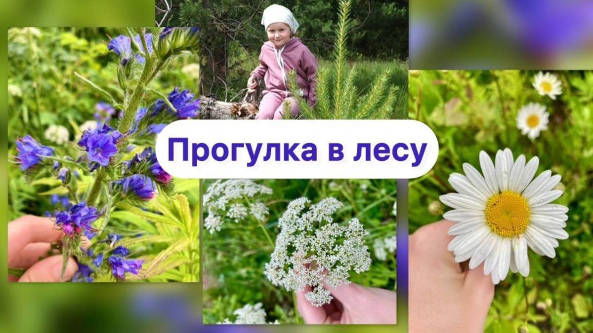 Детство в деревне — летний лес глазами мамы и дочки | Уютный влог смотреть онлайн