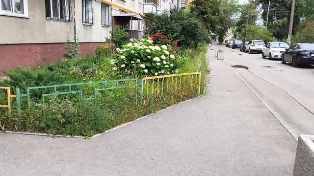 Аллея с пикантным названием и огородики у подъезда многоэтажки. смотреть онлайн