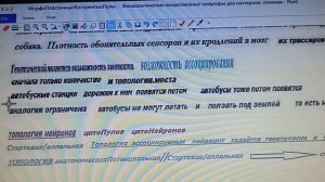 3-3-2+++  фаза прорастания нейронов