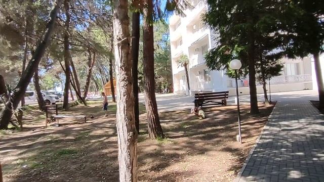 Абхазия Пансионат Золотые Пески 27 июня 2025 г. смотреть онлайн