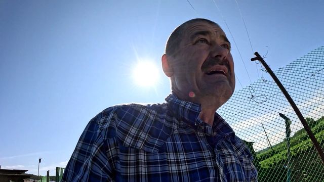 Собрал первый урожай викторий.Гуси растут