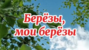 Красивая песня РУССКИЕ БЕРЁЗЫ