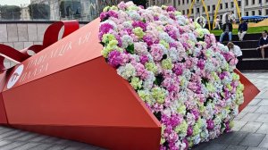 УТРО ДОБРОЕ👋! ПУСТЬ У ВСЕХ БУДЕТ ВСЁ ХОРОШО!