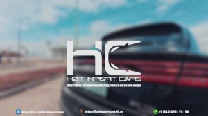 Палисад обзор✅