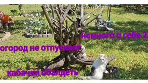 Переезд из Сибири на юг. Купили дом на юге. Наслаждаемся южной жизнью. 💖