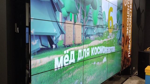 Музей Пчеловодства на ВДНХ 2023