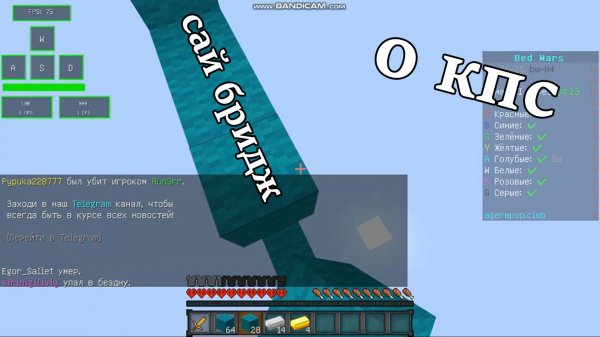 тутор по сай бридж +бед варс