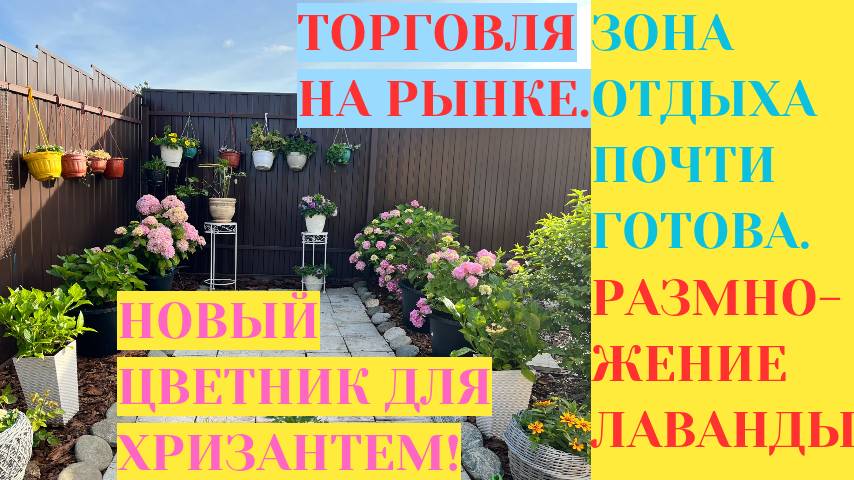 ТОРГОВЛЯ НА РЫНКЕ / ОФОРМЛЕНИЕ РУЧЬЯ / НОВЫЙ ЦВЕТНИК ДЛЯ ХРИЗАНТЕМ / РАЗМНОЖЕНИЕ ЛАВАНДЫ