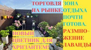 ТОРГОВЛЯ НА РЫНКЕ / ОФОРМЛЕНИЕ РУЧЬЯ / НОВЫЙ ЦВЕТНИК ДЛЯ ХРИЗАНТЕМ / РАЗМНОЖЕНИЕ ЛАВАНДЫ