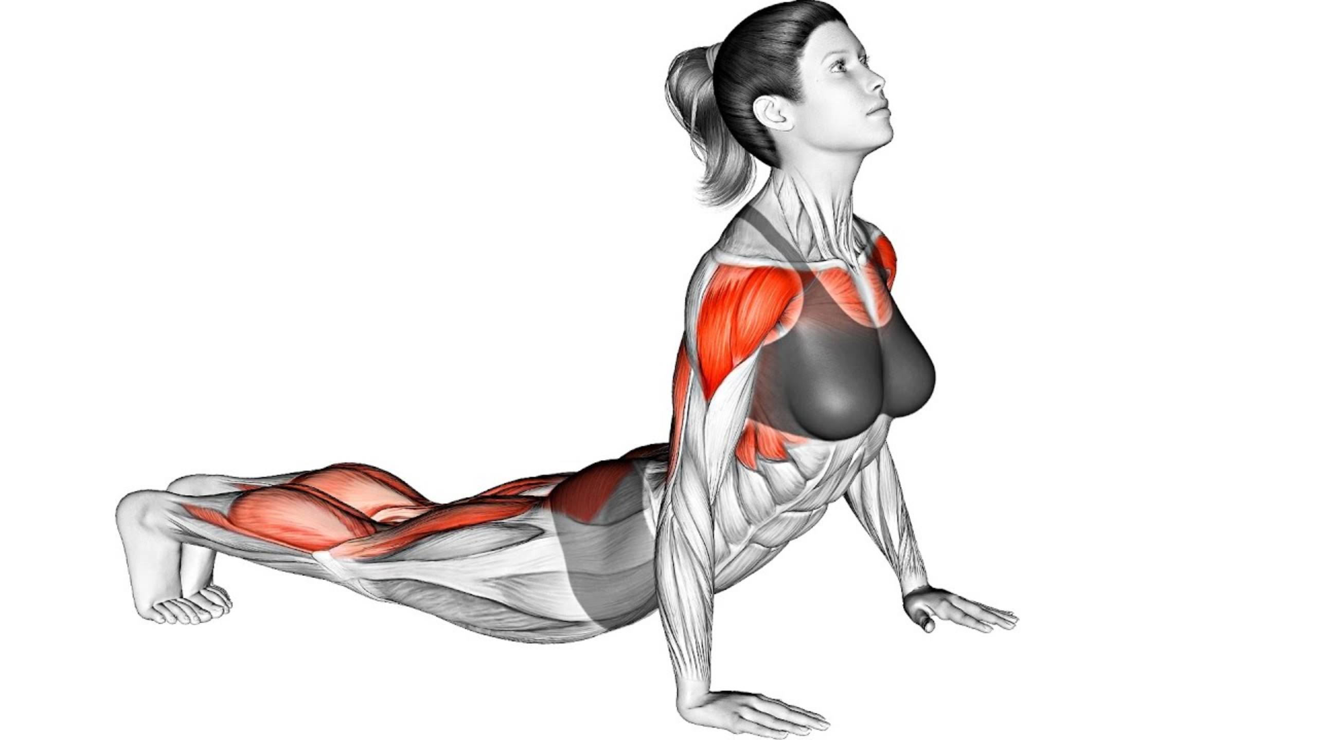 Домашние Упражнения без Оборудования смотреть онлайн